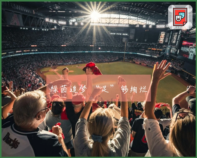 绿茵追梦 “足”够绚烂